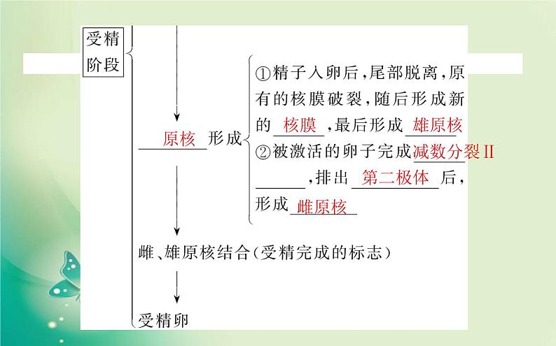 2021-2022学年高中生物新人教版选择性必修3 2.3.1 胚胎工程的理论基础 课件（68张）06