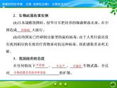 2021-2022学年高中生物新人教版选择性必修3 禁止生物武器 课件（31张）