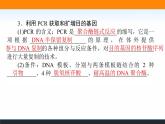 2021-2022学年高中生物新人教版选择性必修3 基因工程的基本操作程序 课件（125张）