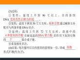 2021-2022学年高中生物新人教版选择性必修3 基因工程的基本操作程序 课件（125张）