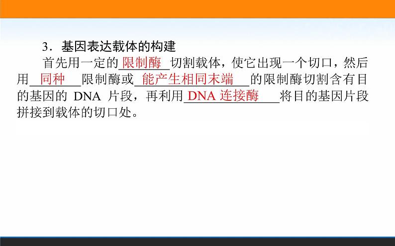 2021-2022学年高中生物新人教版选择性必修3 基因工程的基本操作程序 课件（125张）08