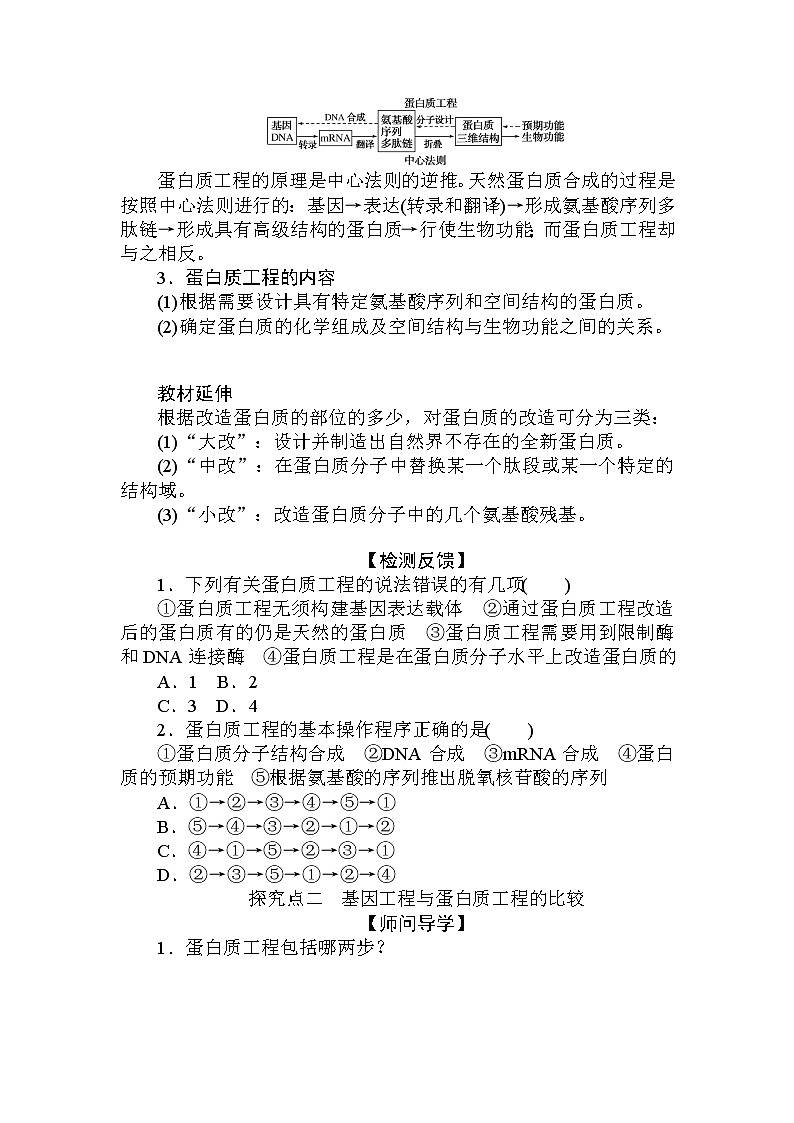 2021-2022学年高中生物新人教版选择性必修3 3.4 蛋白质工程的原理和应用 学案第3页