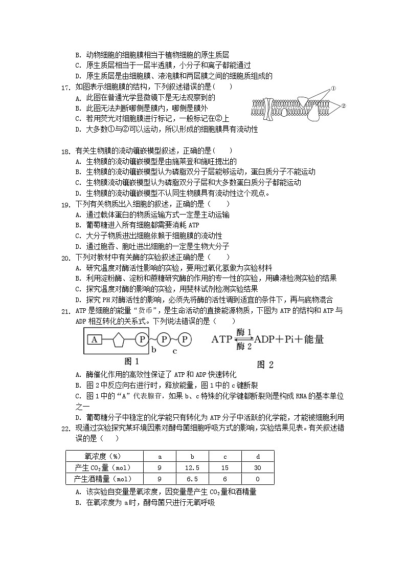 甘肃省张掖市2021-2022学年高二上学期期末学业水平质量检测生物含答案第3页