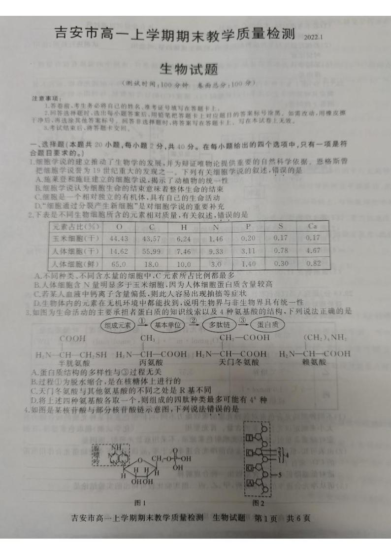 江西省吉安市2021-2022学年高一上学期期末考试生物PDF版含答案01