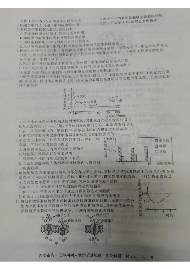 江西省吉安市2021-2022学年高一上学期期末考试生物PDF版含答案02