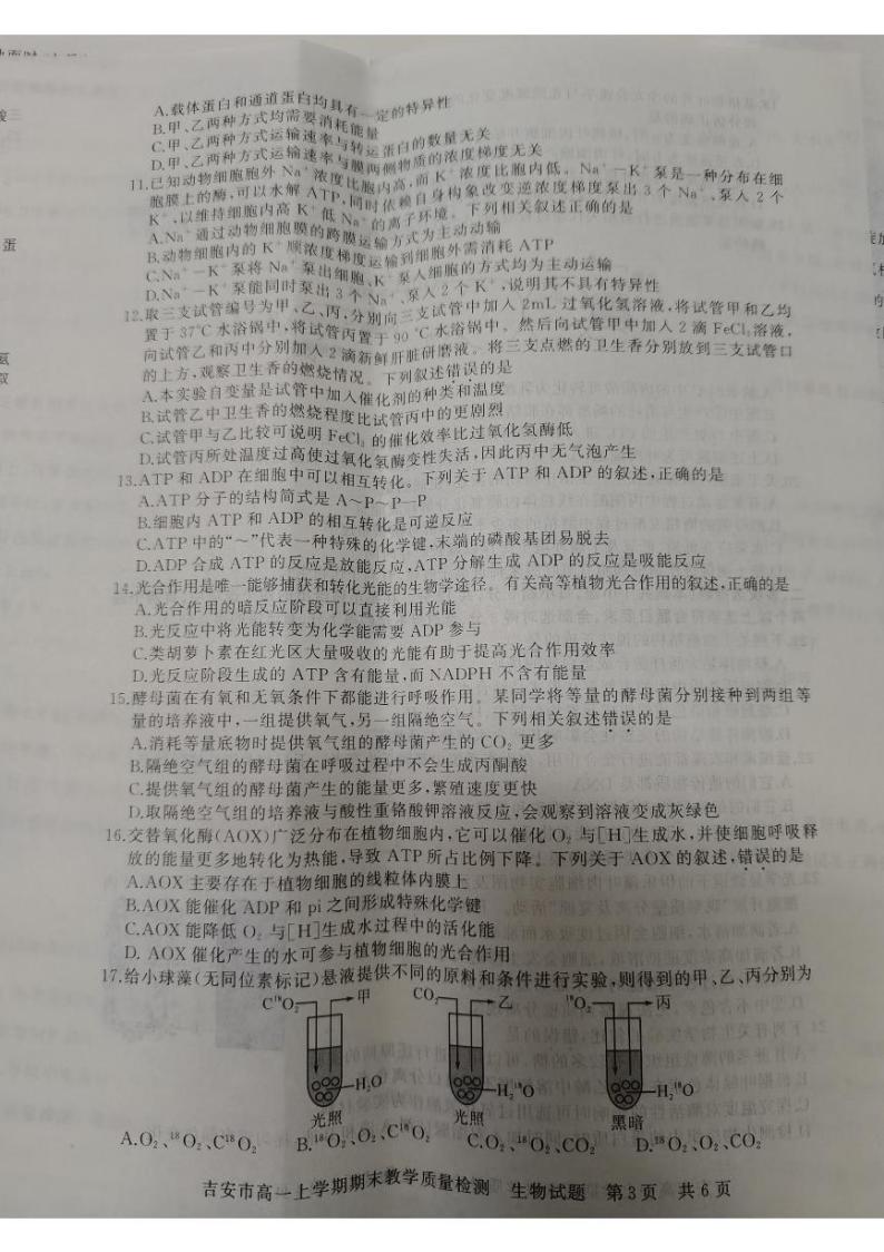 江西省吉安市2021-2022学年高一上学期期末考试生物PDF版含答案03