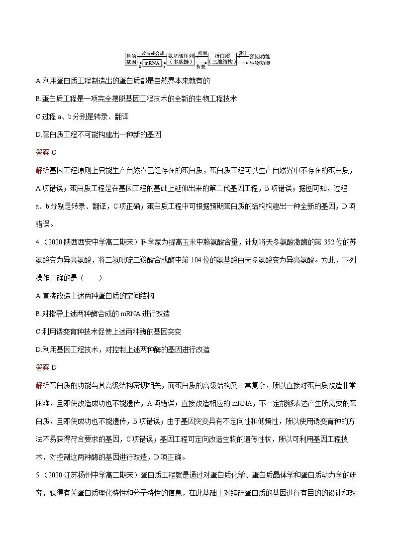 第3章 第4节 蛋白质工程的原理和应用 练习  高中生物新人教版选择性必修3（2022年）第2页