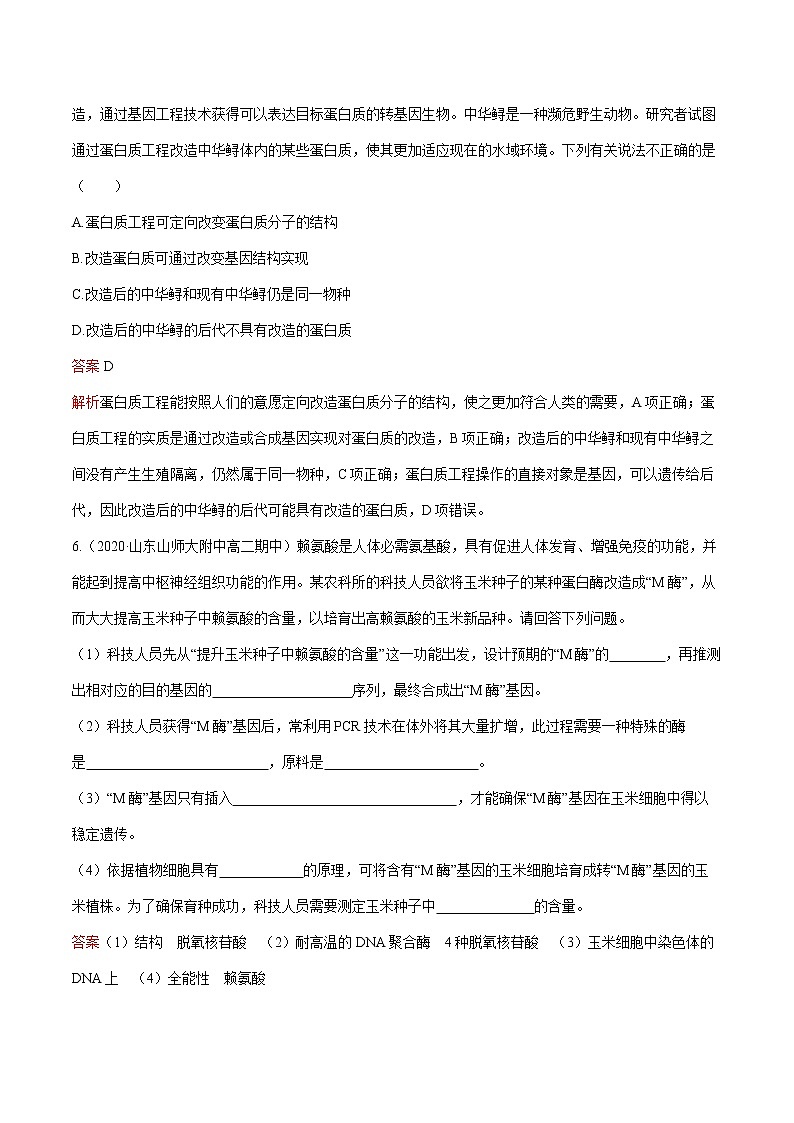 第3章 第4节 蛋白质工程的原理和应用 练习  高中生物新人教版选择性必修3（2022年）第3页
