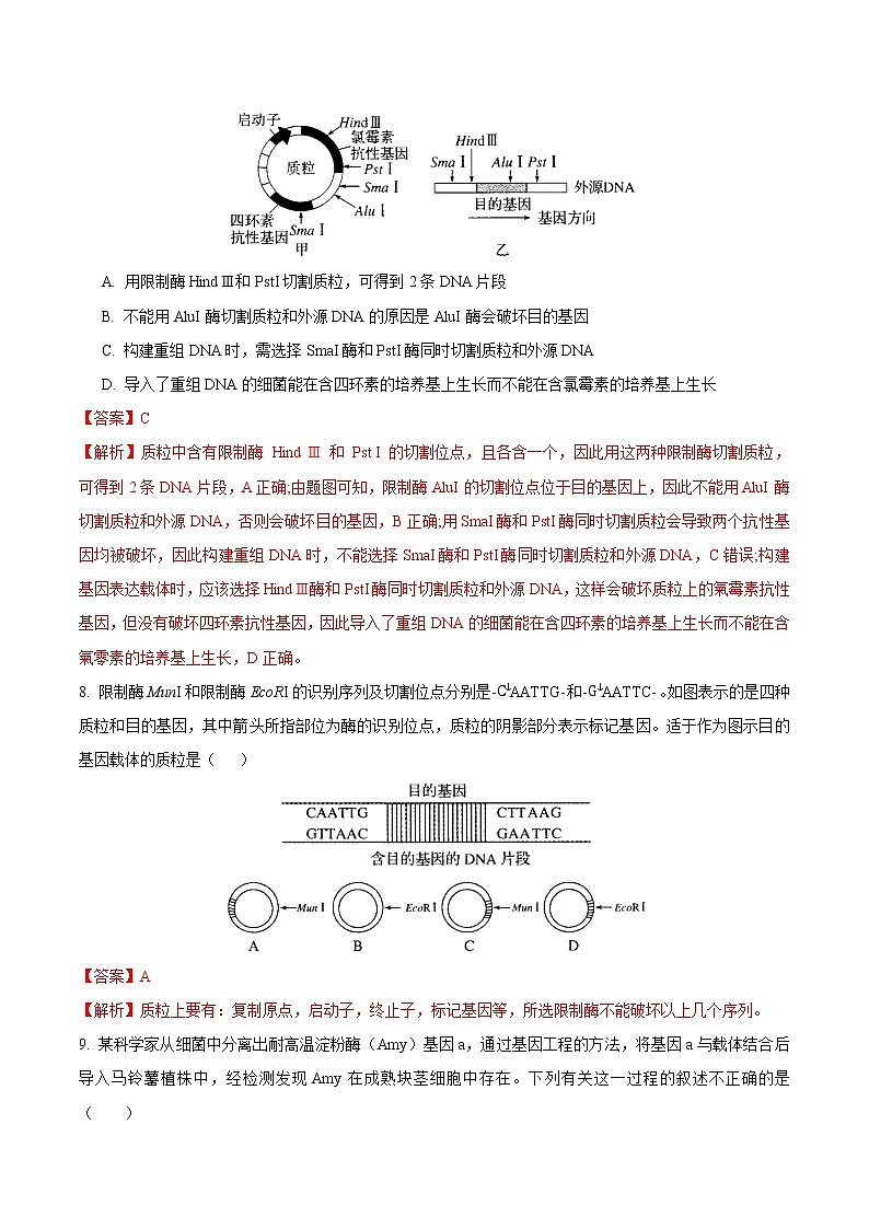 3.1 重组DNA技术的基本工具 练习 高中生物新人教版选择性必修3（2022年）03