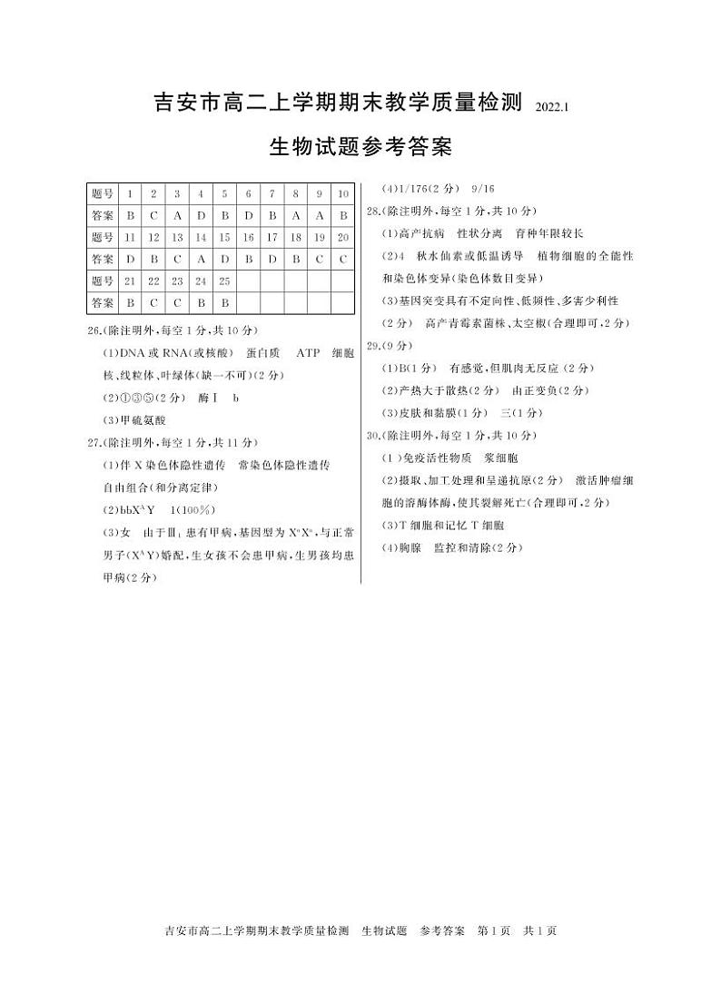 03生物 高二 答案第1页