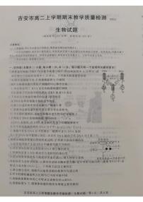 江西省吉安市2021-2022学年高二上学期期末考试生物PDF版含答案