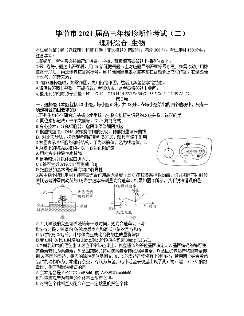 贵州省毕节市2021届高三下学期4月第二次诊断性考试理科综合生物试题含答案01