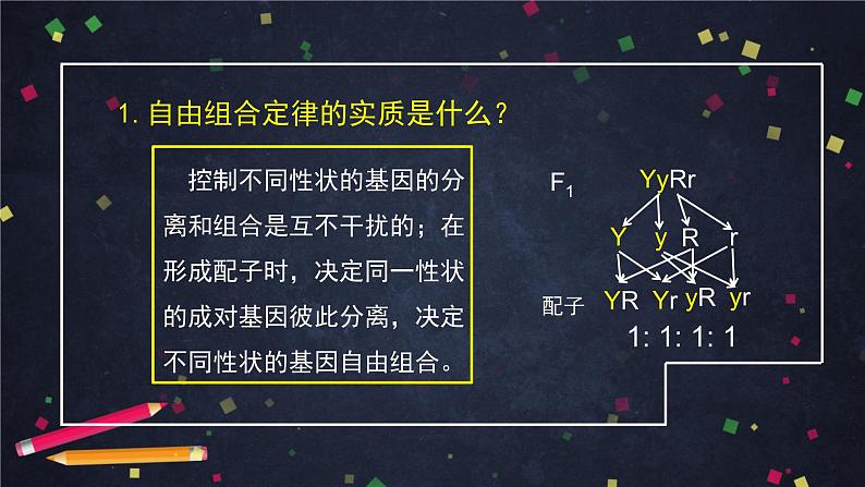 高一生物学(人教版2019)必修二 孟德尔的豌豆杂交实验(二)（2） 课件+教案+导学案+学习任务单+同步练习含答案03