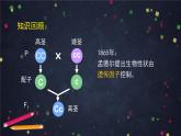 高一生物學(xué)(人教版2019)必修二 基因是有遺傳效應(yīng)的DNA片段 課件+教案+導(dǎo)學(xué)案+學(xué)習(xí)任務(wù)單+同步練習(xí)含答案