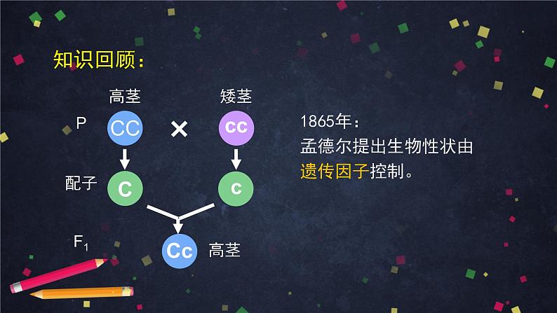 高一生物学(人教版2019)必修二 基因是有遗传效应的DNA片段 课件+教案+导学案+学习任务单+同步练习含答案03