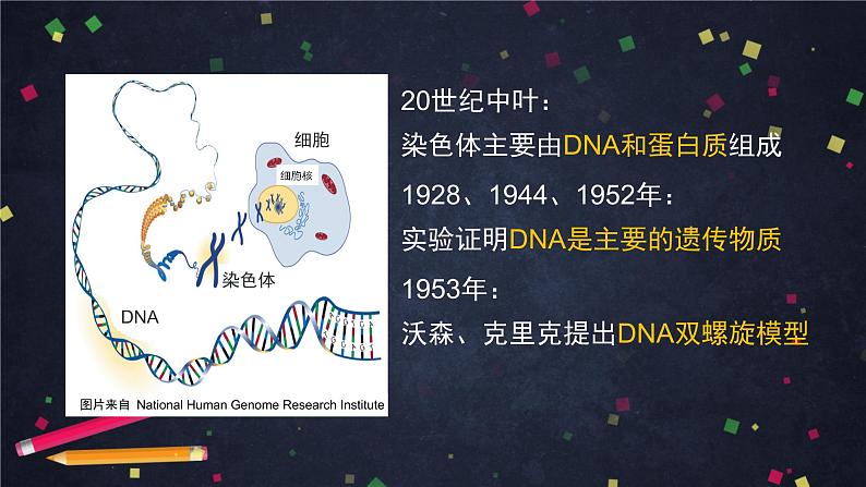 高一生物学(人教版2019)必修二 基因是有遗传效应的DNA片段 课件+教案+导学案+学习任务单+同步练习含答案06