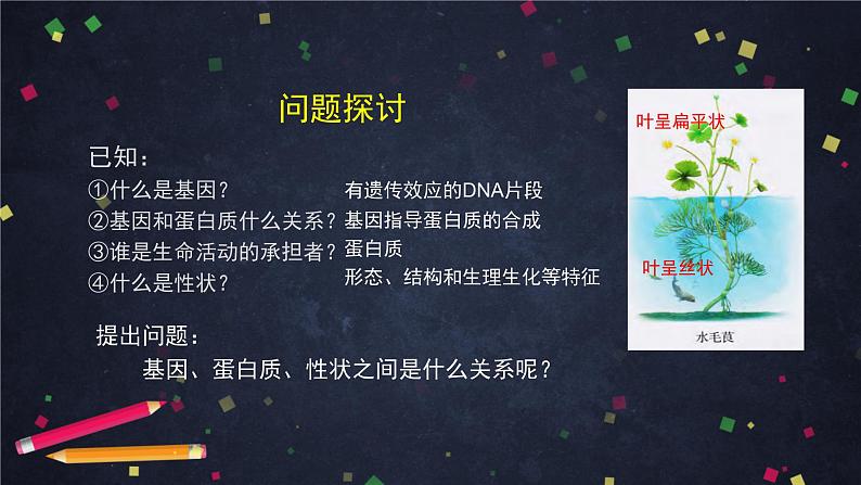 高一生物学（人教版）§4.2 基因表达与性状关系 第1课时-2PPT课件第3页