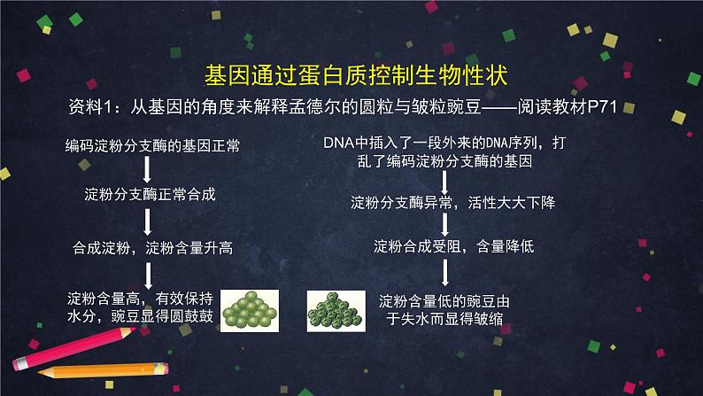 高一生物学（人教版）§4.2 基因表达与性状关系 第1课时-2PPT课件第5页