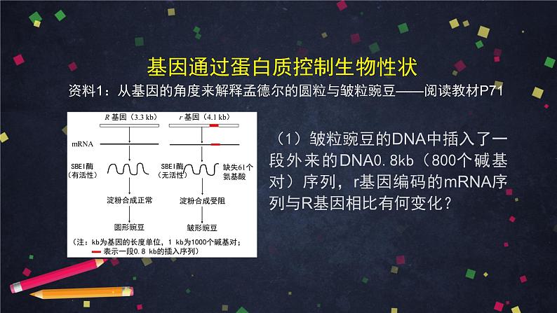 高一生物学（人教版）§4.2 基因表达与性状关系 第1课时-2PPT课件第6页