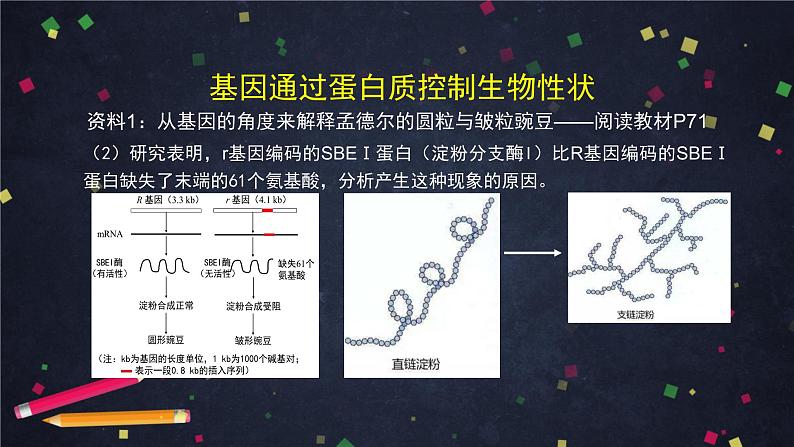 高一生物学（人教版）§4.2 基因表达与性状关系 第1课时-2PPT课件第7页