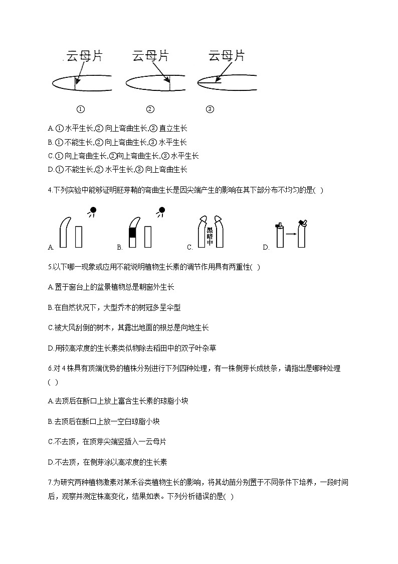 第5章 植物生命活动的调节 单元检测题（能力提升） 【新教材】人教版（2019）高中生物选择性必修一02