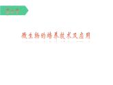 1.2.1 微生物的培养技术及应用 课件【新教材】 人教版（2019）高二生物选择性必修三