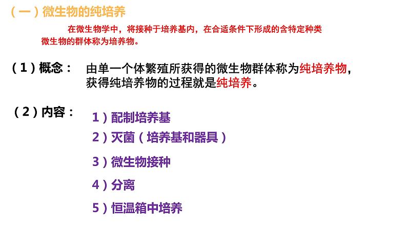 1.2.2 微生物的培养技术及应用 课件【新教材】 2020-2021学年人教版（2019）高二生物选择性必修三第3页