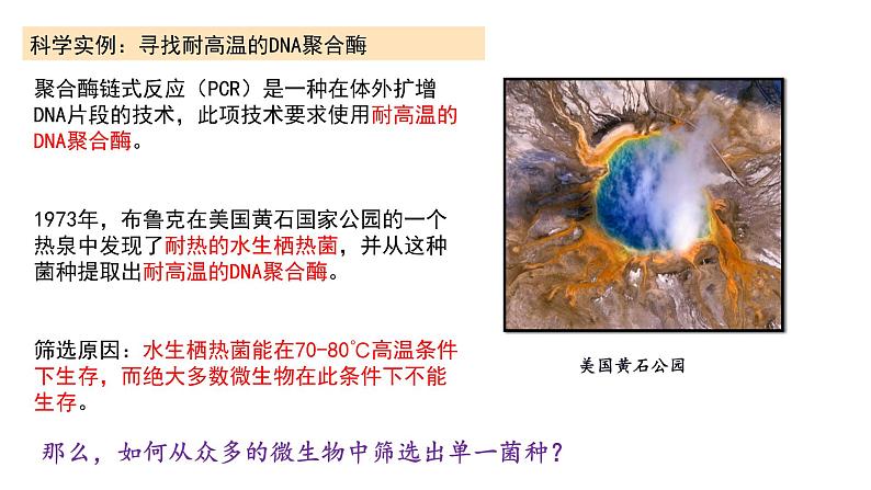 1.2.3 微生物的培养技术及应用 课件【新教材】 2020-2021学年人教版（2019）高二生物选择性必修三第3页