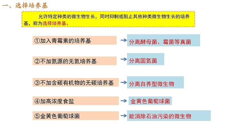 1.2.3 微生物的培养技术及应用 课件【新教材】 2020-2021学年人教版（2019）高二生物选择性必修三第6页