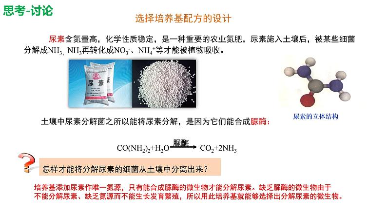 1.2.3 微生物的培养技术及应用 课件【新教材】 2020-2021学年人教版（2019）高二生物选择性必修三第7页