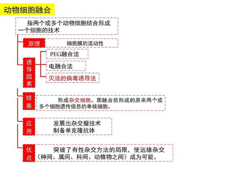 2.2.2 动物细胞融合人技术与单克隆抗体 课件【新教材】 人教版（2019）高二生物选择性必修三04