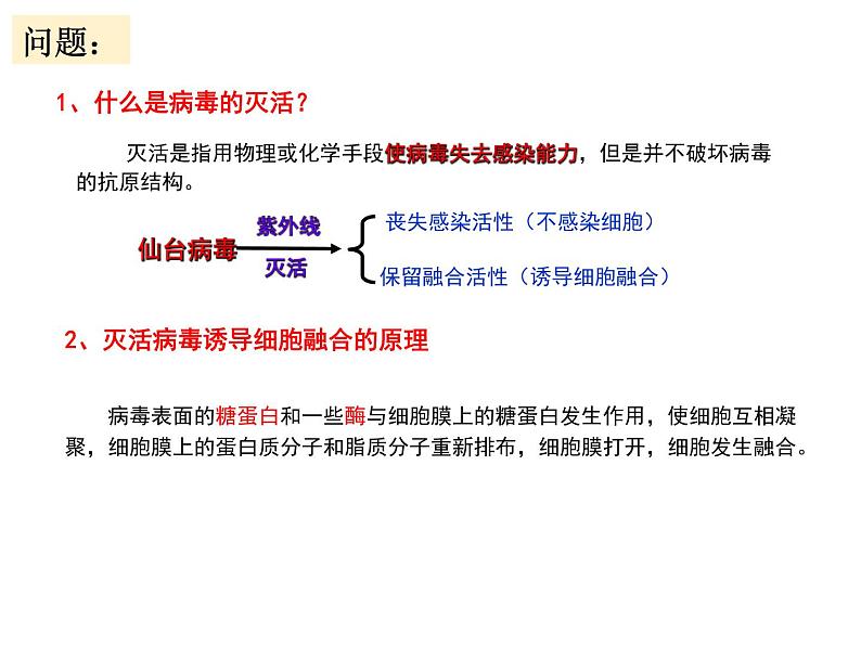 2.2.2 动物细胞融合人技术与单克隆抗体 课件【新教材】 人教版（2019）高二生物选择性必修三05