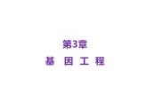 3.1.2 DNA的粗提取与鉴定 课件【新教材】  人教版（2019）高二生物选择性必修三