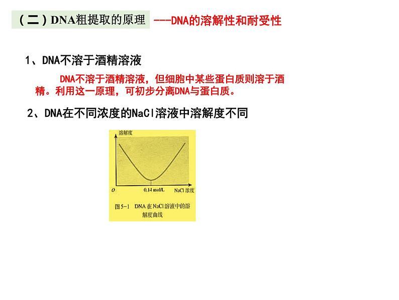 3.1.2 DNA的粗提取与鉴定 课件【新教材】  人教版（2019）高二生物选择性必修三05