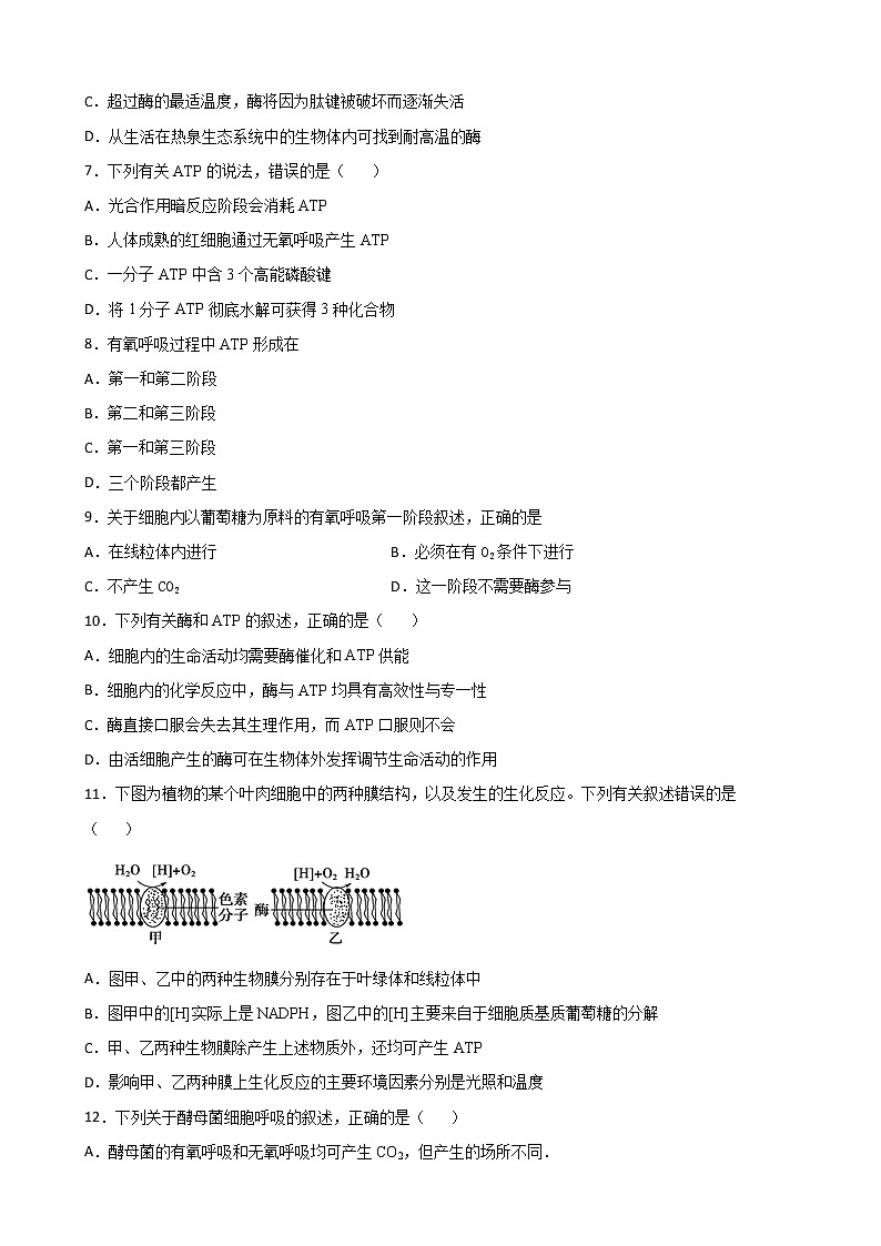 第三单元 细胞中能量的转换和利用-2020-2021学年高一生物上学期单元复习必杀50题（新苏教版（2020）必修1）02
