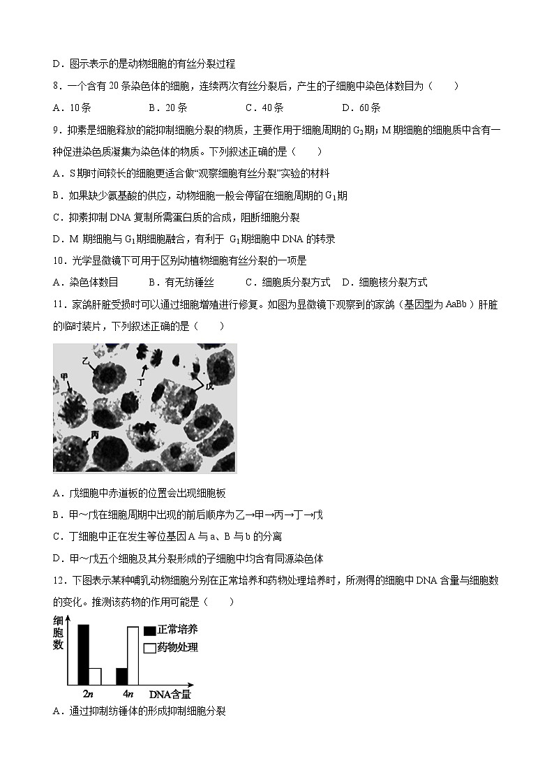 第四单元 细胞增殖、分化衰老和死亡-2020-2021学年高一生物上学期单元复习必杀50题（新苏教版（2020）必修1）（原卷版）第3页