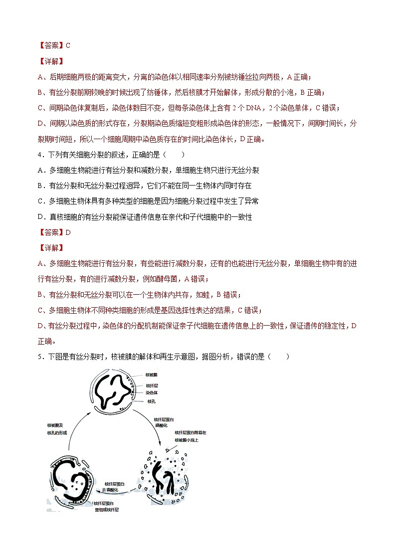 第四单元 细胞增殖、分化衰老和死亡-2020-2021学年高一生物上学期单元复习必杀50题（新苏教版（2020）必修1）（解析版）第2页