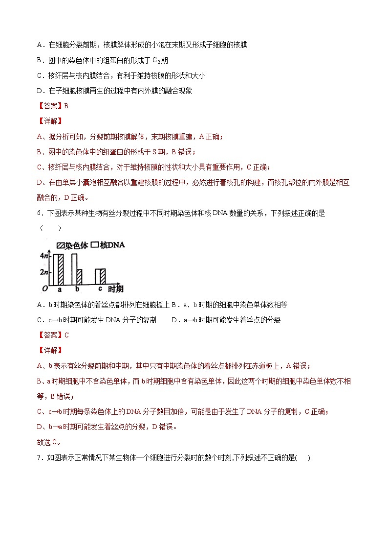 第四单元 细胞增殖、分化衰老和死亡-2020-2021学年高一生物上学期单元复习必杀50题（新苏教版（2020）必修1）（解析版）第3页