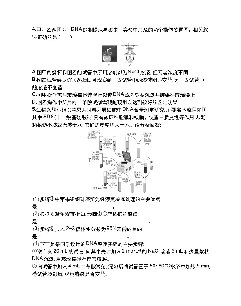 第2课时　DNA的粗提取与鉴定-2022版生物选择性必修3人教版（2019） 同步练习 （Word含解析）02