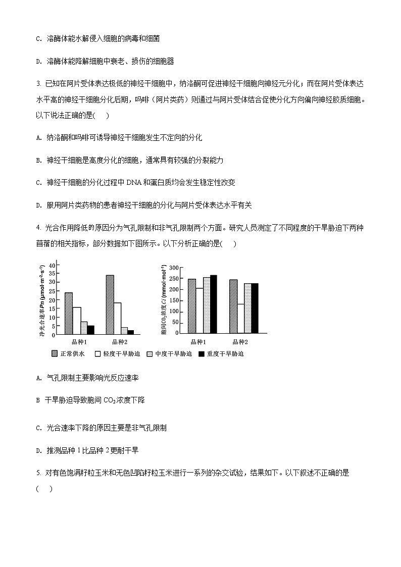 北京市丰台区2021—2022学年高三上学期期末生物试题02