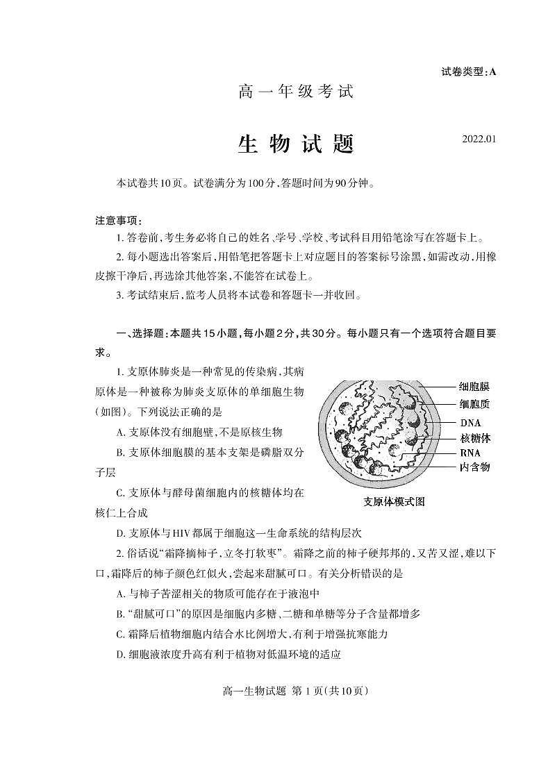 山东省泰安市2021-2022学年高一上学期期末考试生物PDF版含答案01