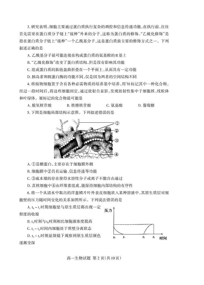 山东省泰安市2021-2022学年高一上学期期末考试生物PDF版含答案02