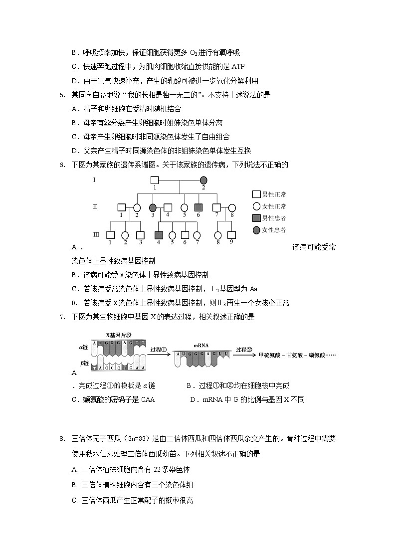 2022届北京市顺义区高三（上）第一次统练生物试题含答案02