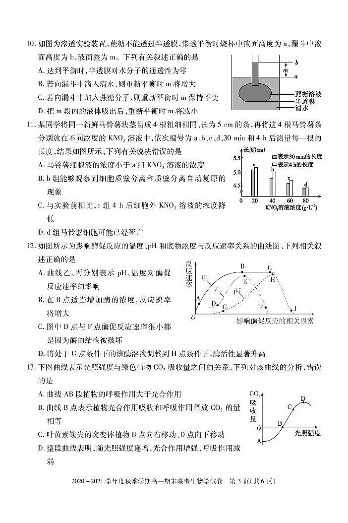 2020-2021学年湖北省天门市高一上学期期末考试生物试题  PDF版03
