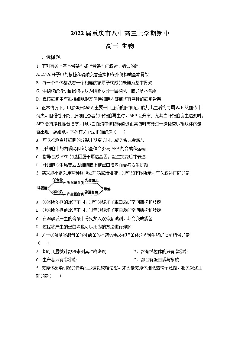 2022届重庆市八中高三上学期期中生物试题含答案第1页