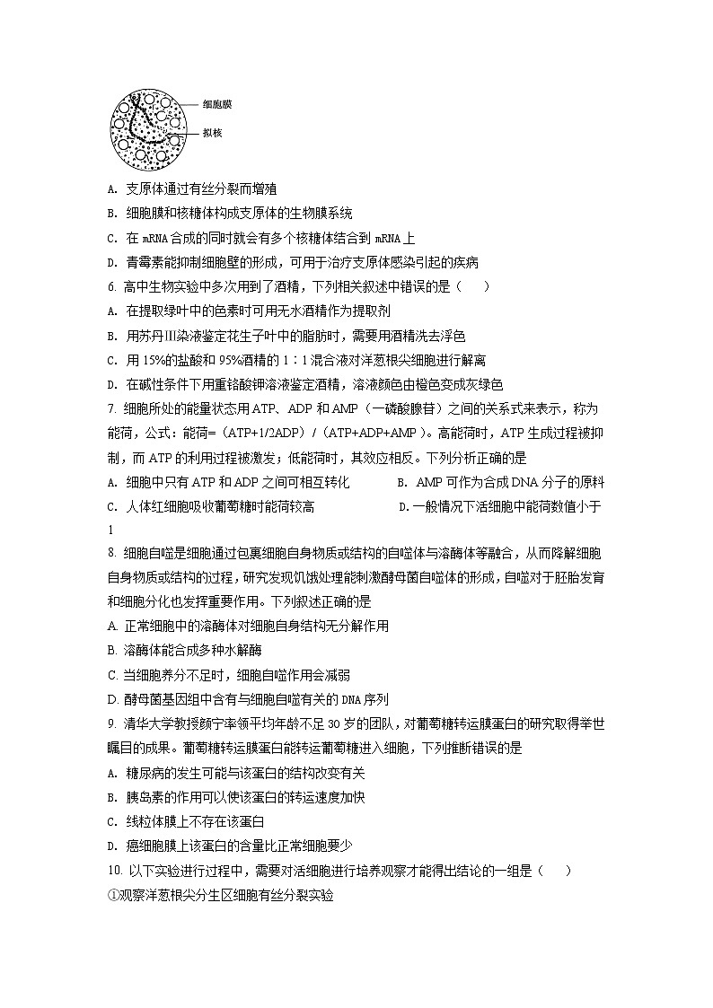 2022届重庆市八中高三上学期期中生物试题含答案第2页