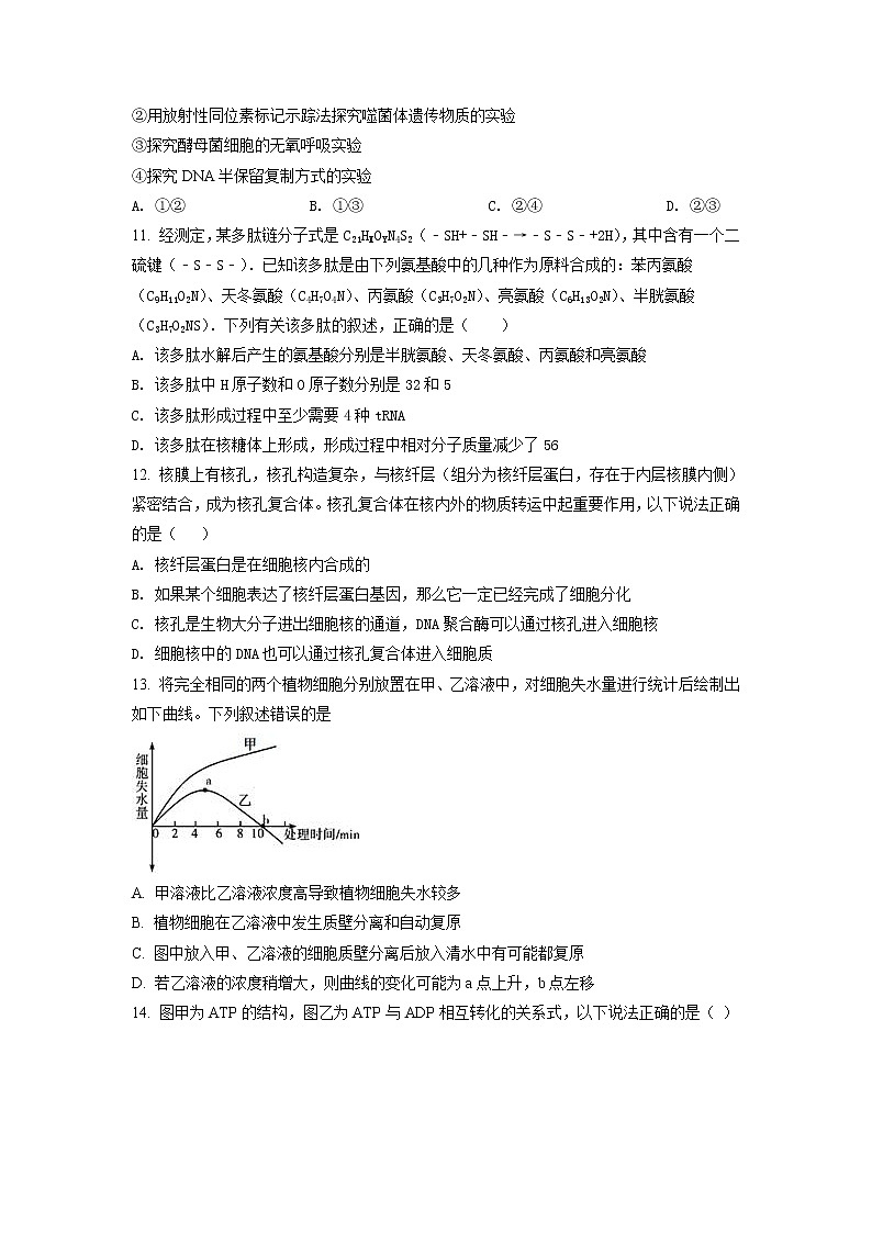 2022届重庆市八中高三上学期期中生物试题含答案第3页