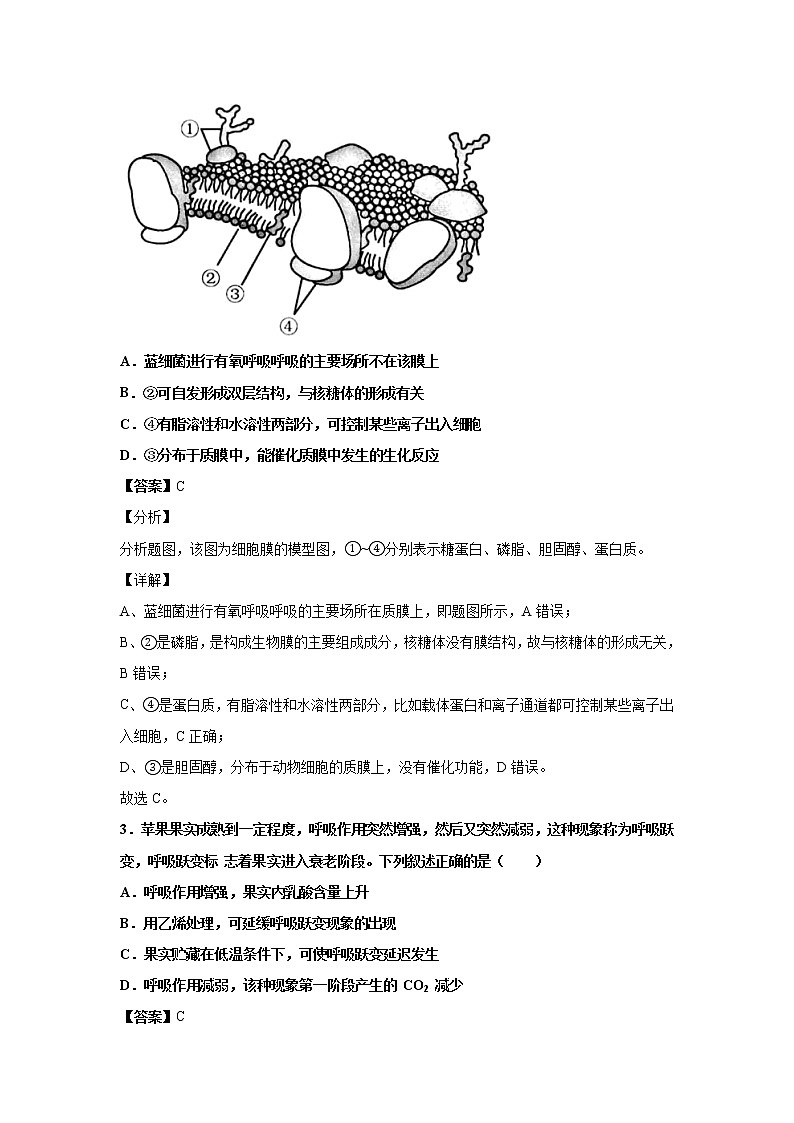 2021-2022学年山东省济南市山东师大附中高三上学期开学考试生物试题解析版02