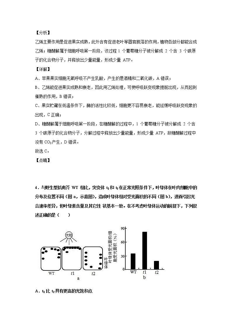 2021-2022学年山东省济南市山东师大附中高三上学期开学考试生物试题解析版03