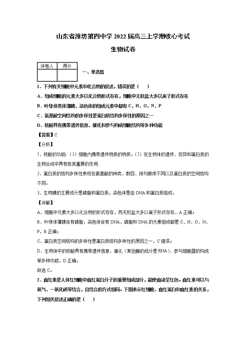 2022届山东省潍坊第四中学高三上学期收心考试生物试卷解析版第1页
